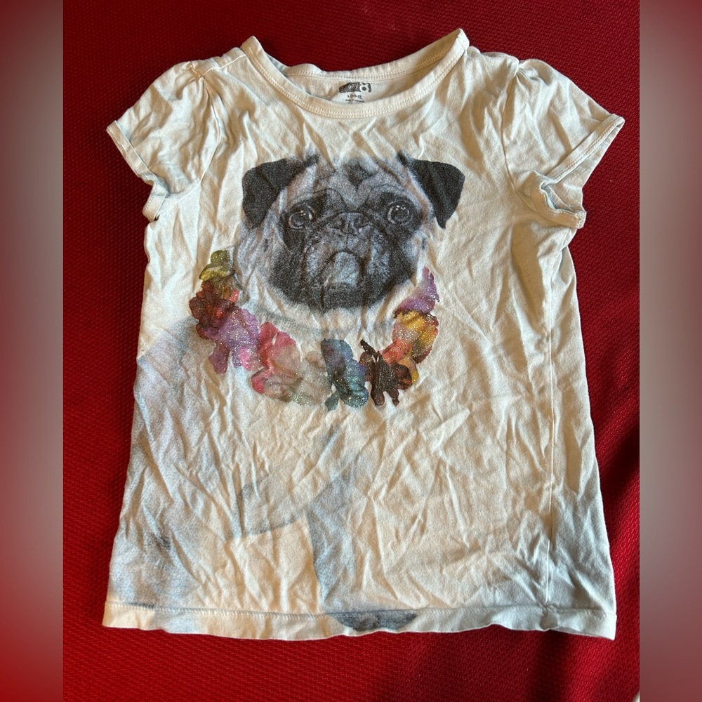 Cute Pug Shirt Crazy 8 Girls size 10-12